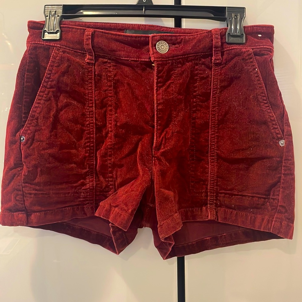 Express High Rise Velvet Shorts